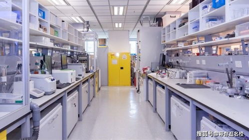 状元讲堂 香港科大能源研究院博士后带你走进战略性新兴产业下的新能源专业